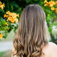 Mechas tradicionales